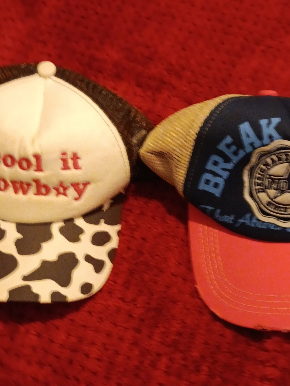 Unbranded Kids Two-Pack Cow Print and Blue-Pink Trucker Hats